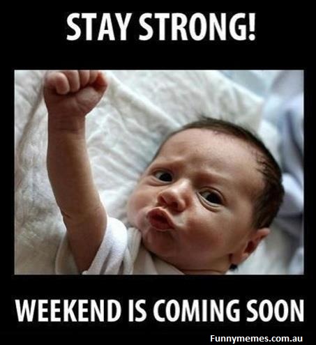 Pictures Funny Cats on Funny Memes Stay Strong  The Weekend Is Comming Soon   Funny Memes