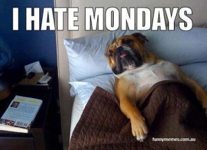 Hate Mondays meme